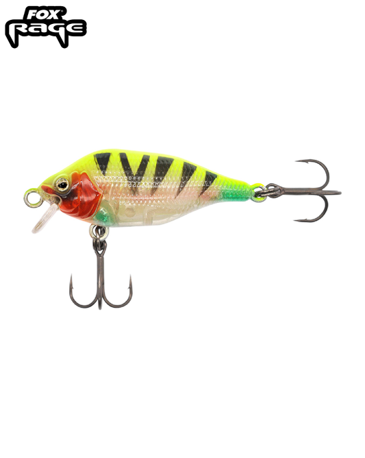 Funk Bug DR