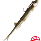 Pelagic Shad V-Tail