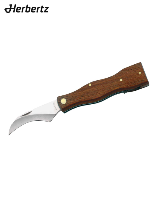 Pilzmesser mit Bürste