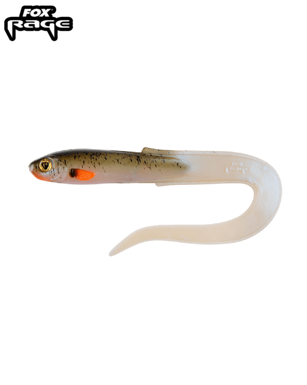 Slick Eel