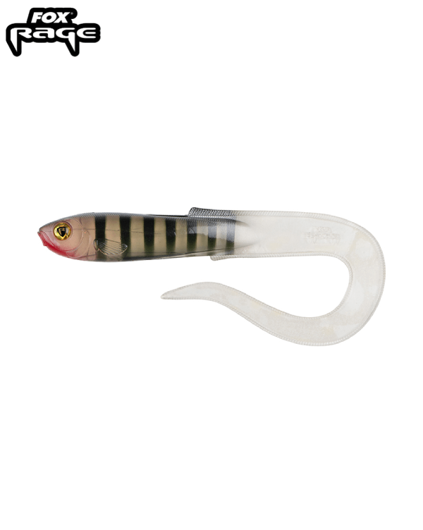 Slick Eel