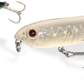 WT DOG 60 - 85