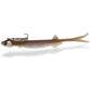 Pelagic Shad V-Tail
