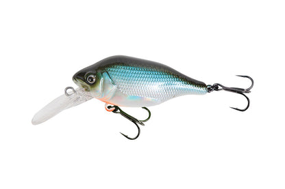 Funk Bug DR