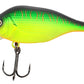 Funk Bug DR