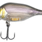 Funk Bug DR