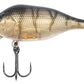 Funk Bug DR