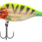 Funk Bug DR