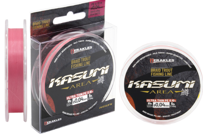 Kasumi Area - Braid