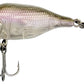 Funk Bug DR