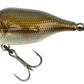 Funk Bug DR