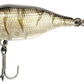 Funk Bug DR