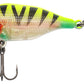 Funk Bug DR