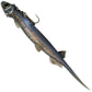 Pelagic Shad Pin-Tail