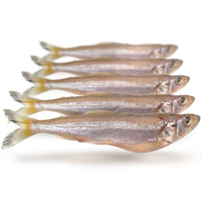 Stinte