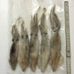 Tintenfische / Calamari - vakuumiert TK